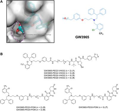 Development of Agonist-Based PROTACs Targeting Liver X Receptor